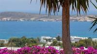 Aloe Paros Suites And Studios Drios Luaran gambar
