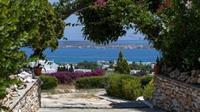 Aloe Paros Suites And Studios Drios Luaran gambar